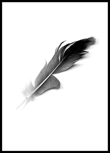 Poster Feather